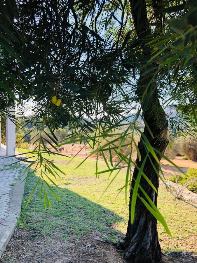 Elena'S Country Home & Spa Kalithies المظهر الخارجي الصورة